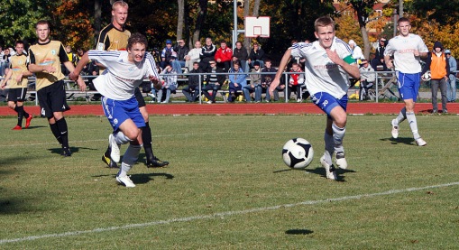 Fotod: Flora koperdas, Levadia karistas