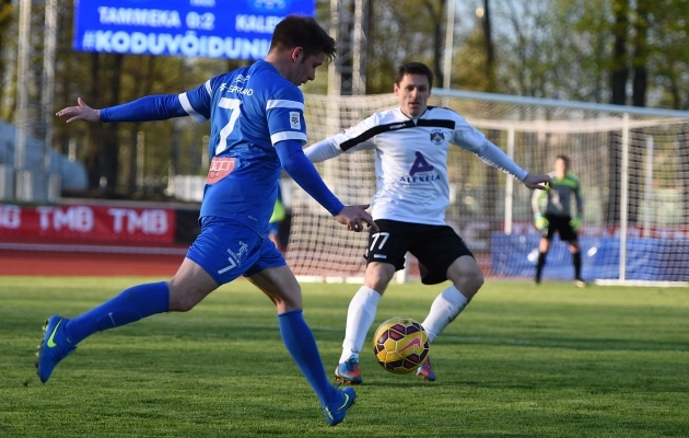 Tammeka klohmis Sillamäed mõnuga