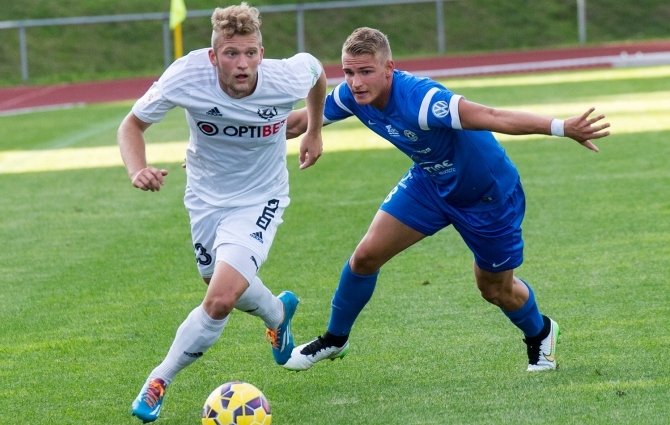 Kalju kärpis Tammeka tiibu