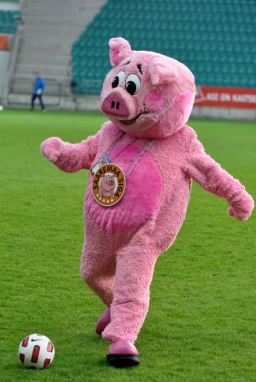 Fotograaf: Märt Vassiljev