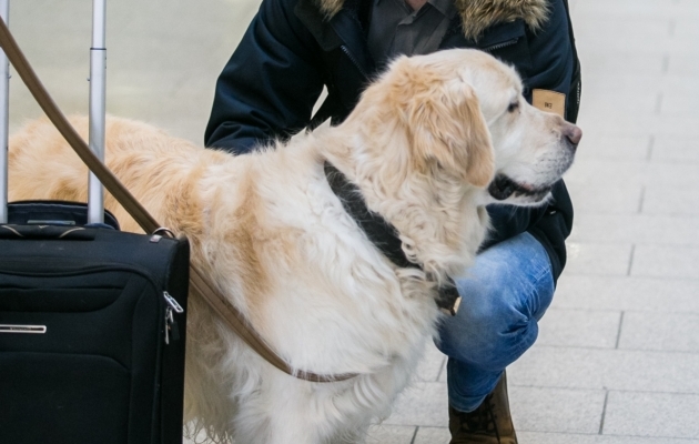 Keda Jordan Pickford küll meenutab? Just-just!