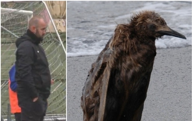 Kui sa ei taha olla meem, aga elu ja ilm sind Viljandis selleks siiski teevad