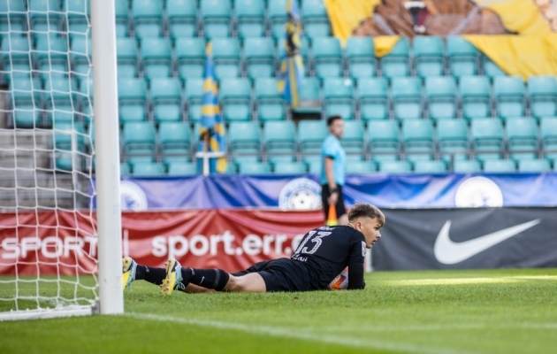 Vapruse v&auml;ravavaht Ott N&otilde;mm. Foto: Brit Maria Tael