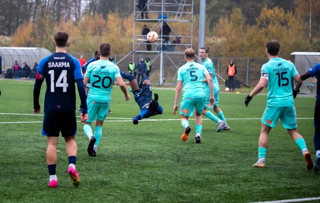 Foto: Ants Leppoja / J&auml;rvamaa Eesti S&uuml;damaa