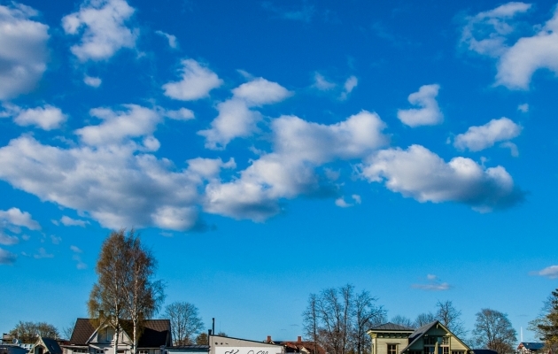 Me kõik teame mõnd sellist äärekaitsjat, kellele ei saa kahjuks söötmata jätta