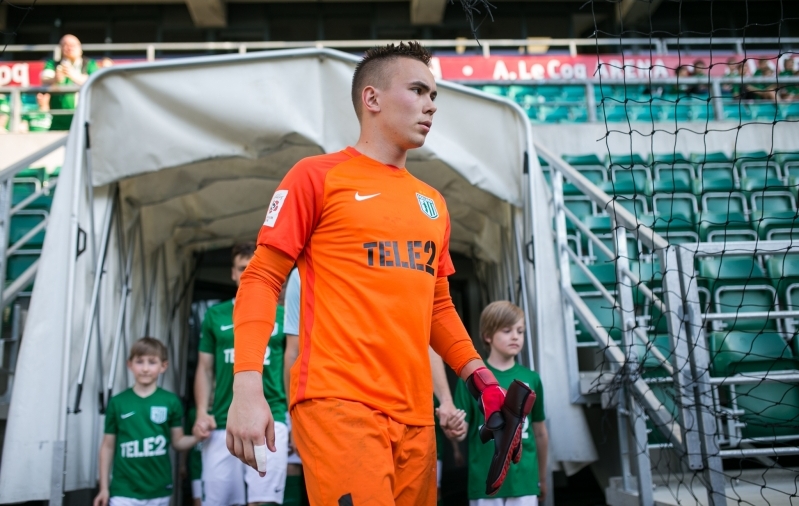 Karofeld Flora särgis. Foto: Brit Maria Tael