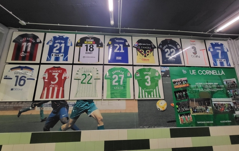 Cornella kasvandike särgid.