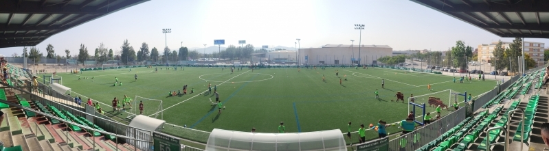 Ülevaade Cornella noortetrennidest ühel väljakul samal ajal.