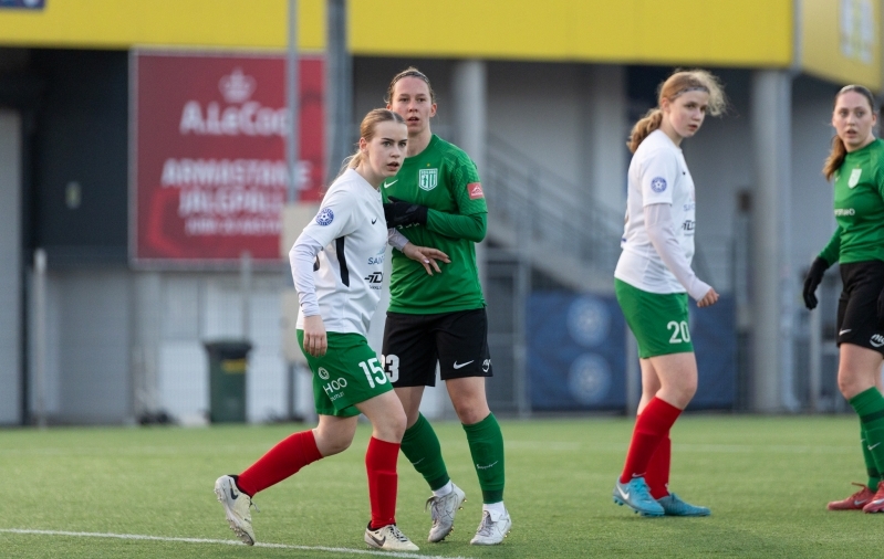 Flora vajas punase laterna murdmiseks hiliseid väravaid