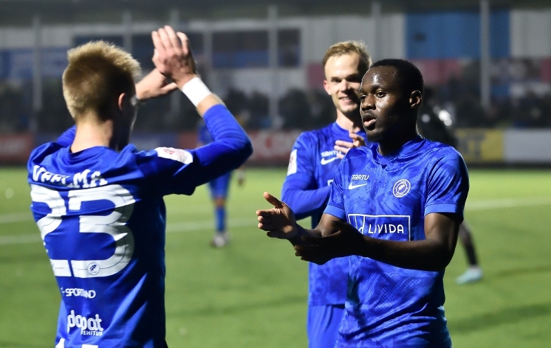 Tammeka tuli raskest seisust auga välja. Foto: Imre Pühvel