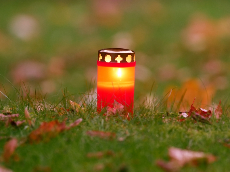 Foto: Scanpix / Wolfram Steinberg / dpa