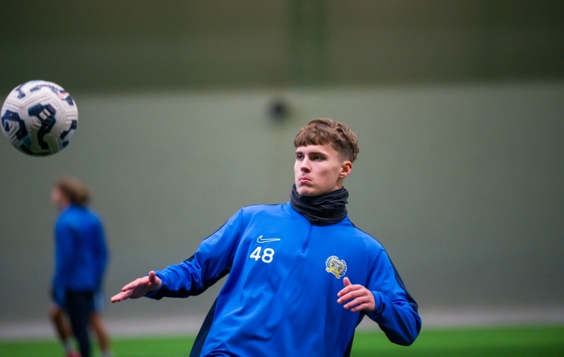 Leivategija sai oma pika audiviske harjutamiseks inspiratsiooni Islandi koondiselt