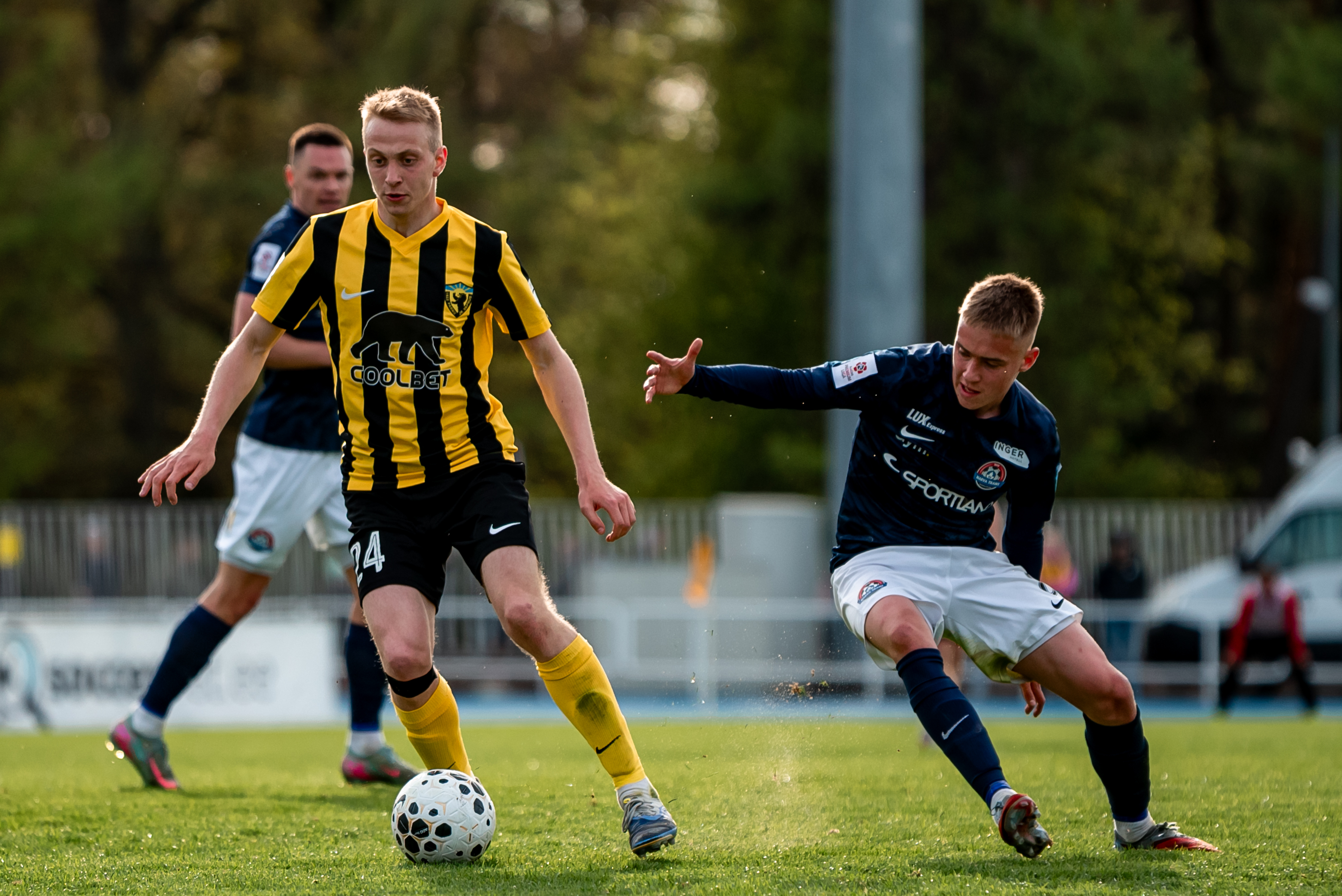 TÄNA OTSEPILT: kuristiku serval Trans asub Pärnu karudelt meepotti röövima  (14.30 + Kalju-Harju!) 