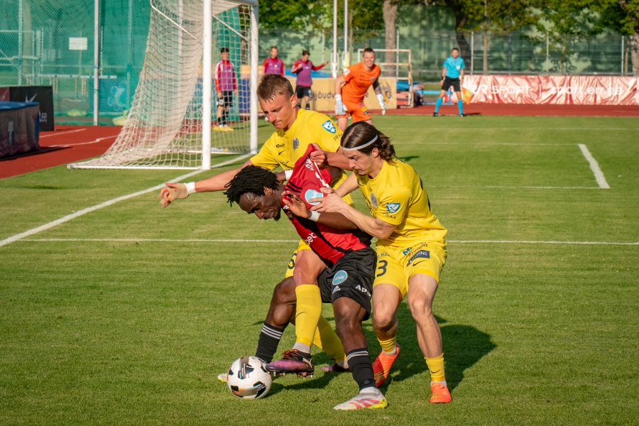 Foto: Allan Mehik